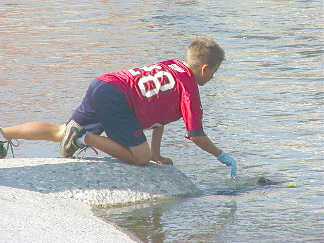 mvc052