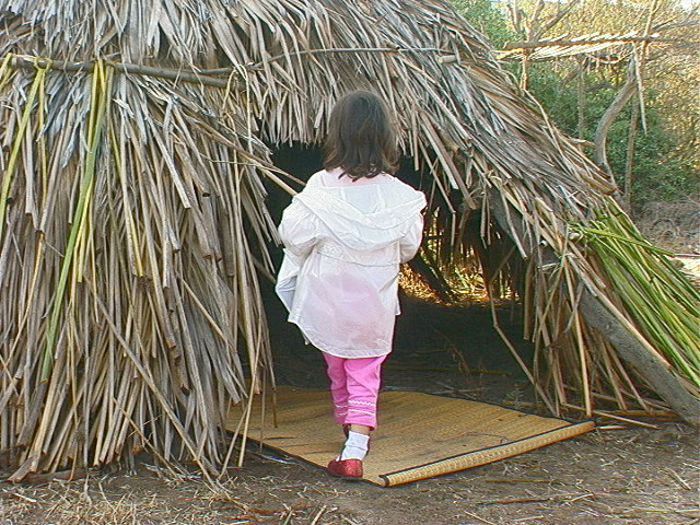 village2