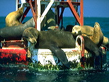 img0098