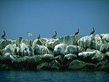 img0100