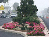 east_from_green1