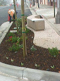 east_from_green5