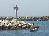 harbor_scene