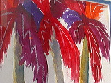 patti_claassen3