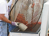 crawfish_boil4