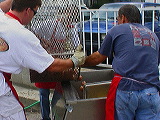 cooking_potatoes2