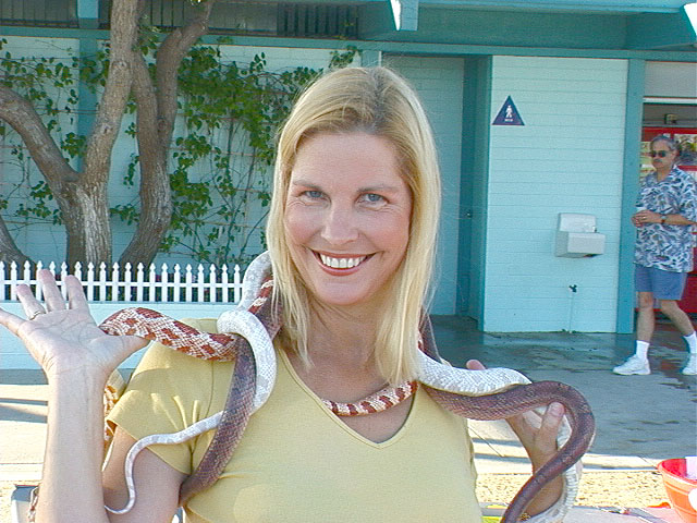 kathys_critters3