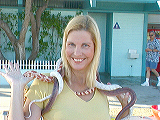 kathys_critters3
