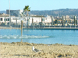 lagoon1