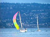 sailing_back1