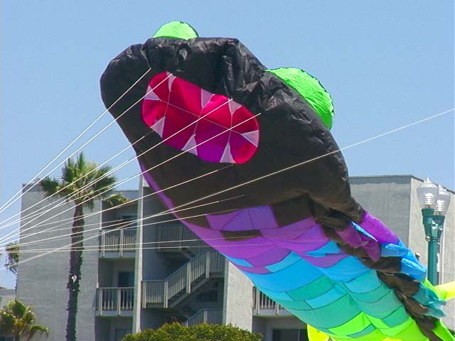dragon_kite1