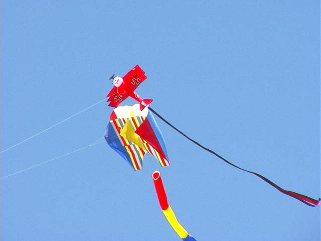 plane_snake_kite