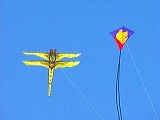 bug_poo_kite