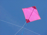 caribbean_kite_rising