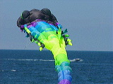 dragon_kite5