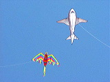 firebird_shark_kite