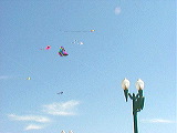 kite_scene3