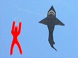 man_shark_kite