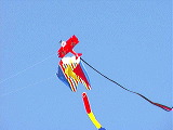 plane_snake_kite