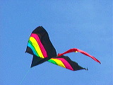 wing_kite1