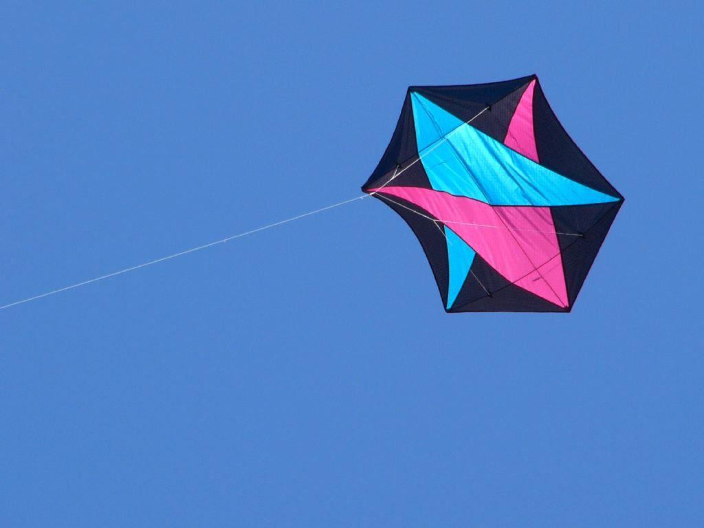 p1010889.jpg