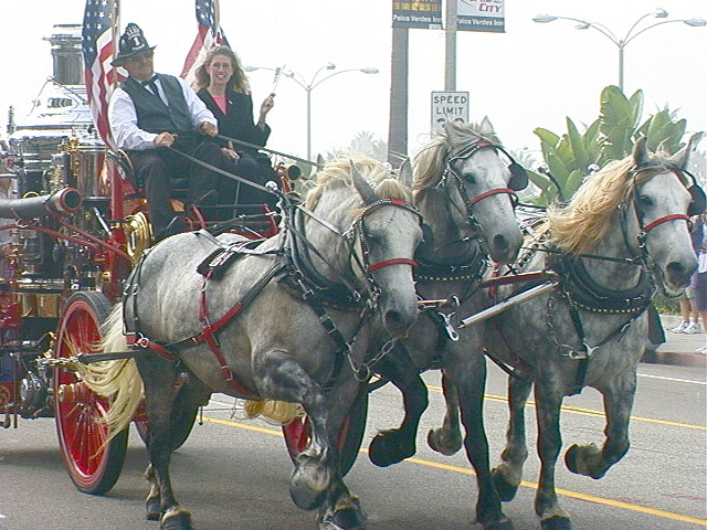 horsegallop2