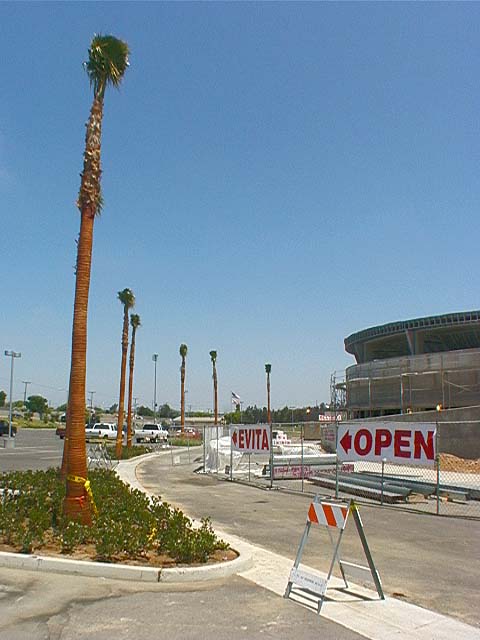 palm_parade