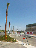 palm_parade