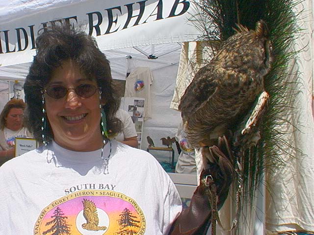 sbwr_owl1_christina
