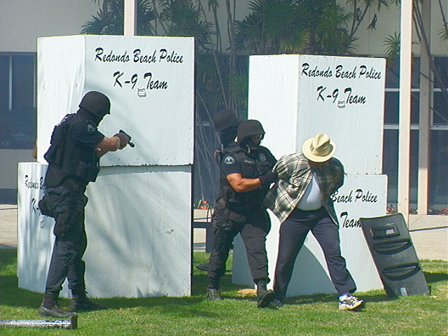 pd_demo11_swat