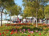safety_fair_view3