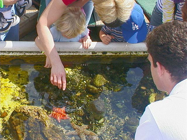 touch_tank2