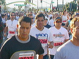 mvc035