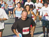 mvc084