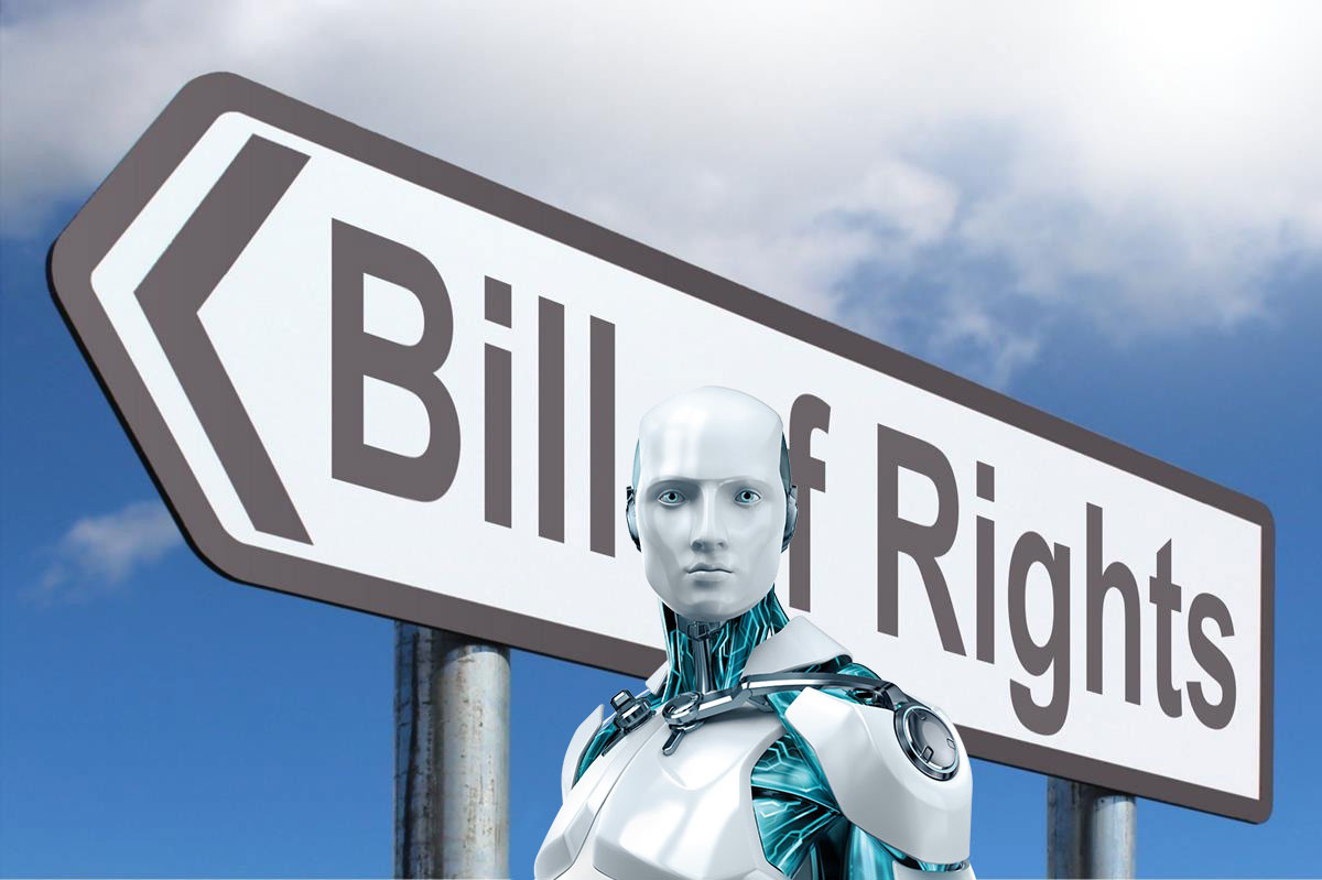 AI Bill of Rights
