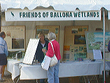 fbw