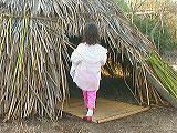 village2