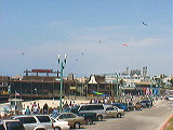 festival_site1