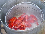 lobster_cooking