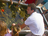 touch_tank1